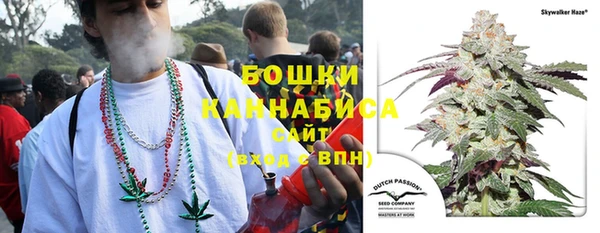 первитин Белокуриха