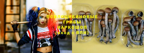 первитин Белокуриха